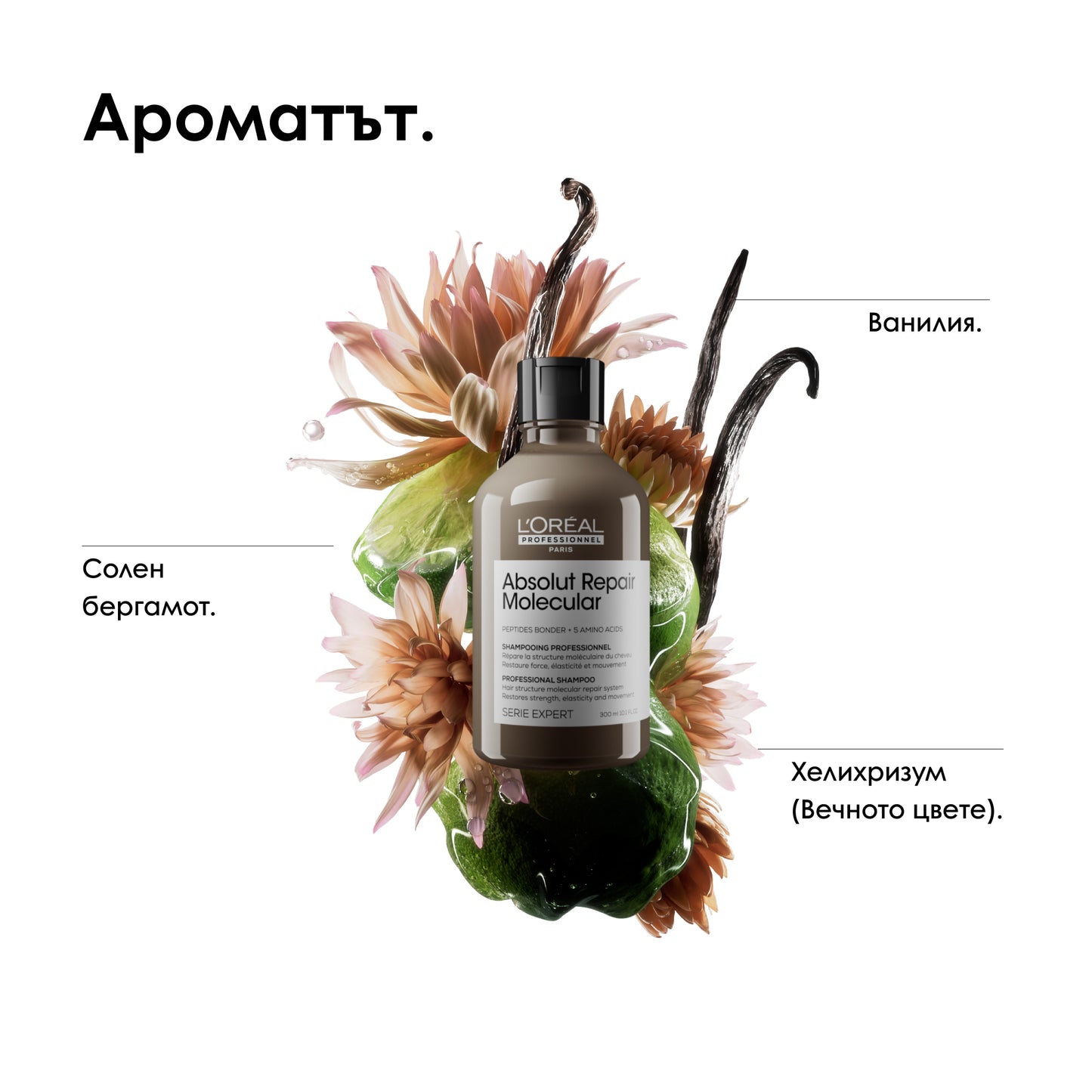 Лимитирана празнична кутия Absolut Repair Molecular