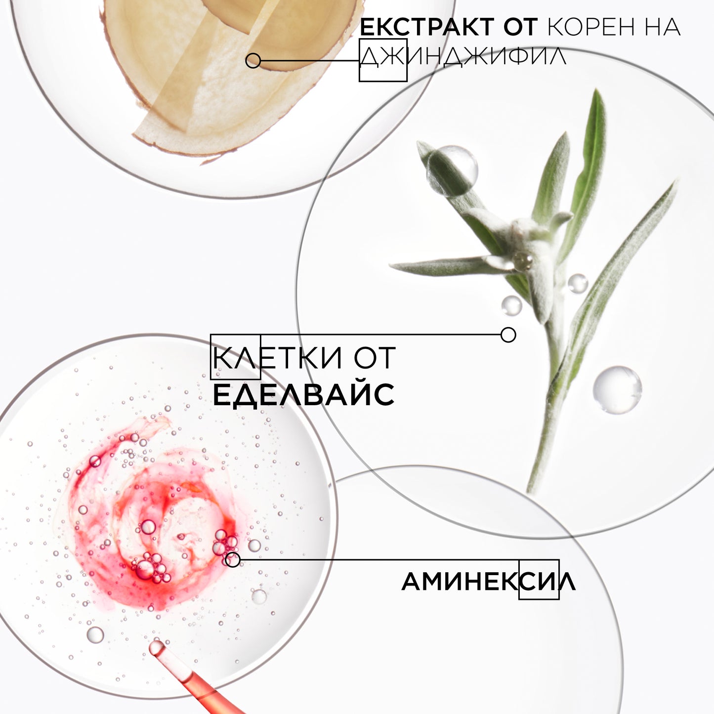 Ампули против косопад Kerastase Genesis Ampoules Cure Anti-Chute Fortifiantes